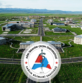 agrı-ibrahim-cecen-universitesi